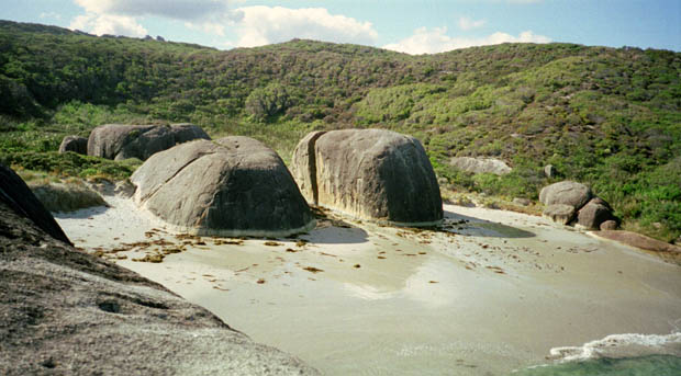 Elephant Cove ligger nær et område der hedder Bornholm - ikke langt fra byen Denmark.